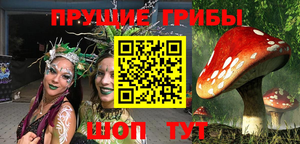 Галлюциногенные грибы прущие грибы Белая Калитва