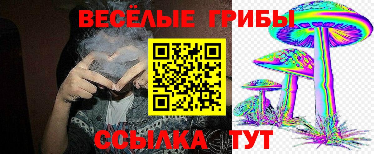 Галлюциногенные грибы Psilocybe  Вход с VPN  Белая Калитва  цена наркотик  Галлюциногенные грибы Cubensis 